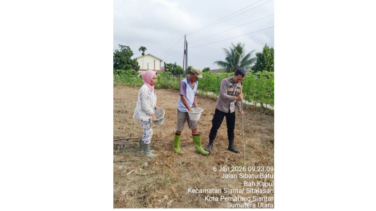 Bhabinkamtibmas Kelurahan Baru AIPDA Yudi Patra sambangi lahan warga binaan Bapak Manurung di Jalan Haranggaol