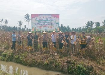 Polres Tanjungbalai Gelar Panen Raya Jagung