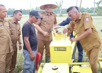 Wakil Wali Kota Tanjungbalai Muhammad Fadly Abdina Panen Perdana Padi Sawah Dinas Perikanan, Pangan dan Pertanian Tahun 2026