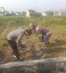 Bhabinkamtibmas Kelurahan Martimbang Aipda Roy Sidabutar, SH Tanam Jagung di Ladang Warga Binaan Jalan Mandiri