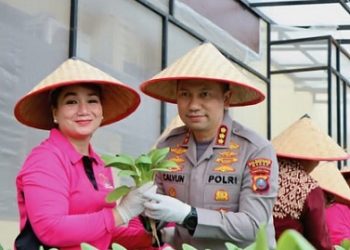 Kapolrestabes Medan, Kombes Pol Dr. Jean Calvijn Simanjuntak bersama Ketua Bhayangkari Cabang Medan, Ny Nelly Calvijn saat panen tanaman hidroponik sayuran sawi pakcoy sekaligus
penanaman melon hidroponik di Pekarangan Pangan Lestari (P2L)  (Foto Ist)