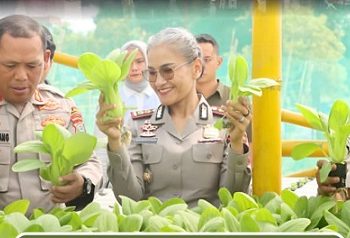 Kapolres Pematangiantar AKBP Sah Udur T.M. Sitinjak SH. SIK. MH dan Kapolres Simalungun AKBP Marganda Aritonang SH. SIK. MM hadiri panen raya serentak di Areal Lahan Sarana Asimilasi dan Edukasi (SEA) Pertanian Lapas Kelas IIA Pematangsiantar,