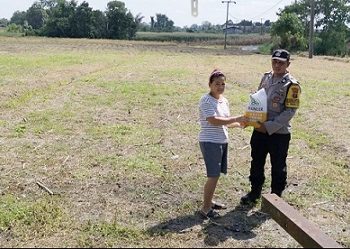 Bhabinkamtibmas Kelurahan Timbang Galung AIPTU Deddy Syam SH serahkan bantuan bibit jagung kepada warga Denri Maritan Manurung