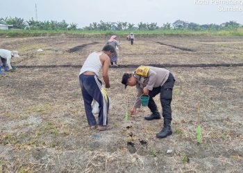 Bhabinkamtibmas Kelurahan Simarimbun Bripka Johannes C. Siregar ikut membantu warga tanam jagung