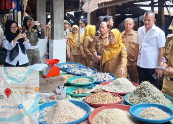 Kasat Reskrim AKP Bram Candra, SH. MH bersama Forkopimda Sidak sejumlah Pasar tradisional dan distributor