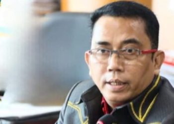 Ketua Komisi 4 Paul Mei Anton Simanjuntak. (Foto Ist)