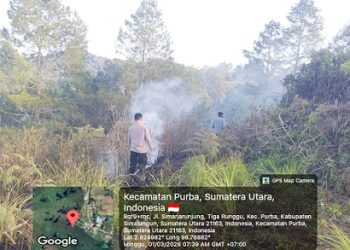 Lahan seluas 3 hektare milik warga di kawasan Sibual Bual