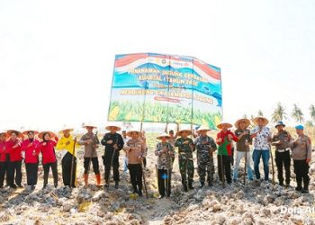 Polres Tanjungbalai Gelar Tanam Jagung Serentak 2026
