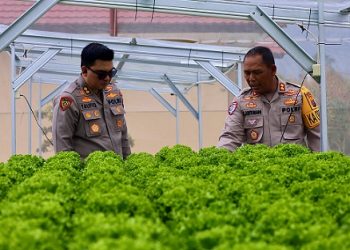 Kapolres Simalungun AKBP Marganda Aritonang, S.H., S.I.K., M.M dampingi Kabagbinkar Polda Sumut AKBP Taufiq Hidayat T S.H. S.I.K. M.M. M.H tinjau lahan Ketapang Bhayangkari Polres Simalungun