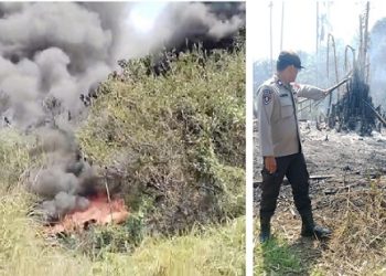 Polsek Bangun Sigap Tangani Kebakaran Lahan 4 Hektare Diarea Kebun Bekas Tempat Kremasi Huta IV