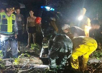 Kapolsek Tanah Jawa Kompol Banuara Manurung SH Pimpin Langsung Evakuasi Pohon Tumbang Tutup Badan Jalan 