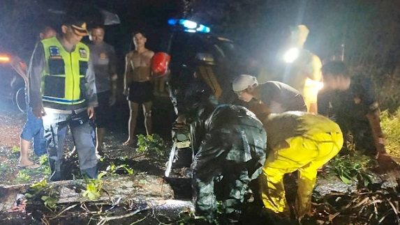 Kapolsek Tanah Jawa Kompol Banuara Manurung SH Pimpin Langsung Evakuasi Pohon Tumbang Tutup Badan Jalan