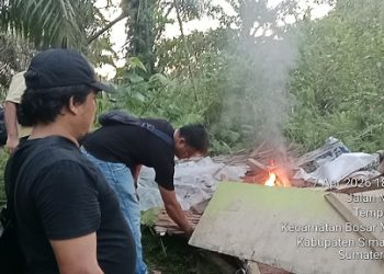 Polsek Bosar Maligas Gerebek, Rubuhkan dan Bakar Habis Lapak Narkoba di Perladangan Nagori Boluk