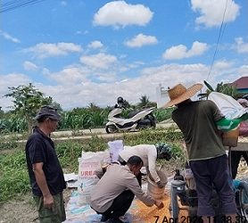 Bhabinkamtibmas Kelurahan Nagahuta Timur AIPTU F. Munthe melaksanakan monitoring panen jagung warga binaan di Jalan Mandiri
