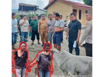 Lurah Sinaksak, Armada, SH Gerak Cepat ke TKP 2 Pencuri Anak Lembu