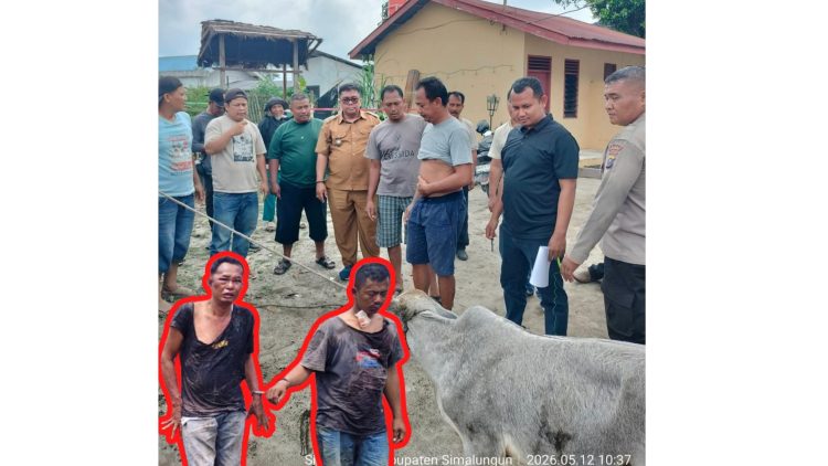 Lurah Sinaksak, Armada, SH Gerak Cepat ke TKP 2 Pencuri Anak Lembu