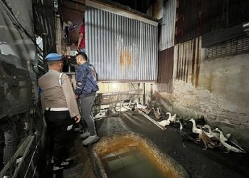 Satuan ResNarkoba Polrestabes Medan gerebek sarang narkoba di kampung Jalan Denai, Gang Jati, Kecamatan Medan Denai. (Foto Ist)