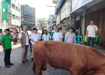 Ketua DPW APPSI Sumut, Ihwan Ritonga yang juga Wakil Ketua DPRD Sumut saat menyerahkan sapi kurban milik Presiden Prabowo Subianto kepada Ketua DPC MAI Kota Medan, Suwarno. (Foto Ist)