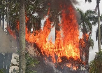Bangunan rumah adat di kawasan Monumen Tugu Nasional Sisingamangaraja XII hangus terbakar. (Foto Ist)