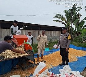 Bhabinkamtibmas Kelurahan Simarimbun Bripka Johannes C. Siregar melaksanakan sambang dan monitoring petani binaan Bapak Miduk Sihaaan menggiling hasil panen jagung
