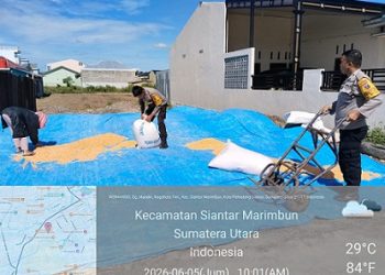 PS. Kanit Binmas AIPTU P. Manurung, PS. Kanit Samapta AIPTU Asrijal Harahap, Bhabinkamtibmas Kelurahan Martimbang Aipda Roy Sidabutar, SH dan Bhabinkamtibmas Kelurahan Kristen Bripka Swandi membantu petani binaan Bapak Sianturi menjemur hasil panen jagung.