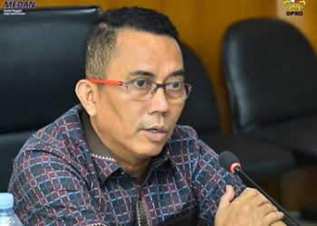Ketua Komisi 4 Paul Mei Anton Simanjuntak. (Foto Ist)