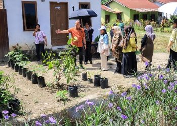 Ketua TP PKK Kota Pematangsiantar Ny Liswati Wesly Silalahi meninjau Kelurahan Tong Marimbun dan Kelurahan Pematang Marihat
