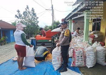 Bhabinkamtibmas Kelurahan Simarimbun Bripka Johannes C. Siregar sambangi dan monitoring petani binaan sedang menggiling hasil panen jagung di Simarimbun Dolok Gang Unggul