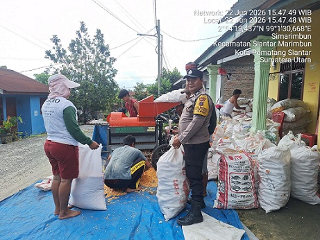 Bhabinkamtibmas Kelurahan Simarimbun Bripka Johannes C. Siregar sambangi dan monitoring petani binaan sedang menggiling hasil panen jagung di Simarimbun Dolok Gang Unggul
