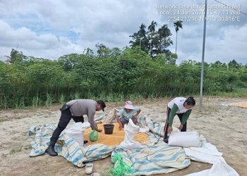Bhabinkamtibmas Kelurahan Simarimbun Bripka Johannes C. Siregar melaksanakan sambang dan monitoring Petani Binaan Bapak Hiras Silitonga/Br Pasaribu sedang menjemur hasil panen jagungnya
