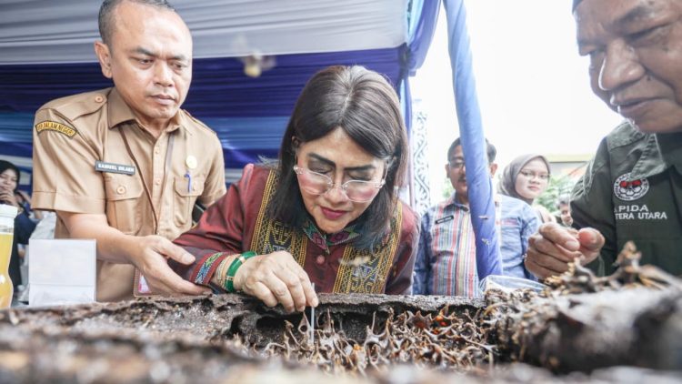 Wali Kota Pematangsiantar Wesly Silalahi SH MKn diwakili Staf Ahli Bidang Pembangunan Muhammad Hamdani Lubis SH dan Ketua Dekranasda Kota Pematangsiantar Ny Liswati Wesly Silalahi membuka kegiatan UMKM Siantar Expo Tahun 2026