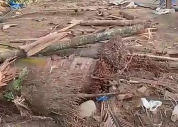 Area pembangunan drainase yang dilakukan sebuah perkebunan di Desa Batu Gingging, Kecamatan Bangun Purba, Deli Serdang membuat warga resah karena area pemukiman warga menjadi gersang. (Foto Ist)