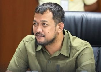 Wakil Ketua DPRD Kota Medan, Hadi Suhendra SH. (Foto Ist)