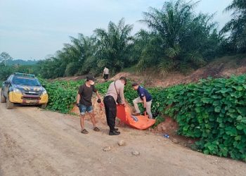Tim Inafis dan Polsek Gunung Malela saat evakuasi jenajah korban dari TKP