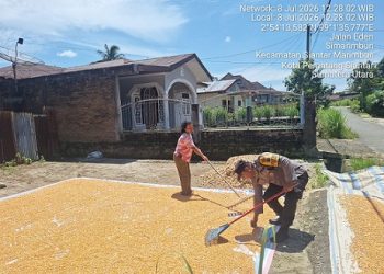  Bhabinkamtibmas Kelurahan Simarimbun Bripka Johannes C. Siregar melakukan monitoring petani binaan sedang menjemur jagung hasil panen