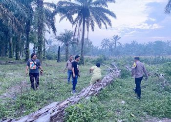 Panit 1 IPDA Roy Jansen O. Sunggu, S.H dan Panit II IPDA Fendy H. Simanullang, S.E. M.M lakukan pengecekan dugaan peredaran narkotika jenis sabu di Huta Bahbiding II