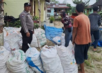 Bhabinkamtibmas Kelurahan Simarimbun Bripka Johannes C. Siregar sambangi petani binaan Bapak Dayan Panen Jagung
