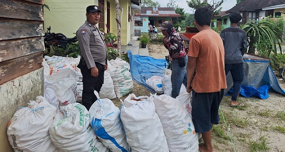 Bhabinkamtibmas Kelurahan Simarimbun Bripka Johannes C. Siregar sambangi petani binaan Bapak Dayan Panen Jagung