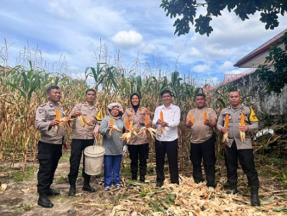 Kapolsek Siantar Selatan IPTU Suhaira Marbun SH bersama personil Panen Jagung Petani Binaan di Jalan Lingga
