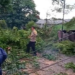 personil Polsek Siantar Martoba respon cepat ikut membantu membersihkan pohon tumbang di jalan Kasad
