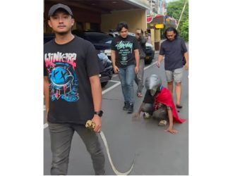 Polisi menangkap pemilik akun sosial
geng motor Simple Life (SL) Mandala serta menyita satu buah celurit. (Foto Ist)