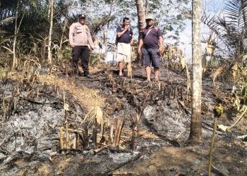 Bhabinkamtibmas Polsek Dolok Silau Brigadir Rianto Perangin-angin respon cepat melakukan pengecekan titik panas atau hotspot kebakaran lahan di Nagori Dolok Mariah