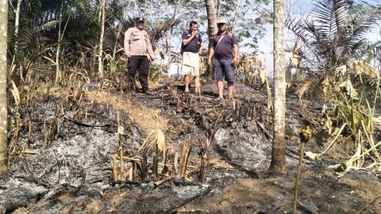 Bhabinkamtibmas Polsek Dolok Silau Brigadir Rianto Perangin-angin respon cepat melakukan pengecekan titik panas atau hotspot kebakaran lahan di Nagori Dolok Mariah