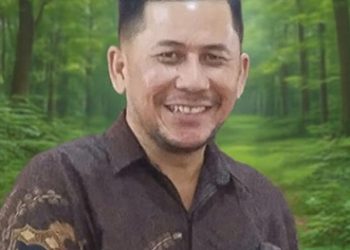 Dr Sepriandison Saragih SH MSi MH.Kes