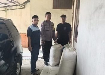 Bhabinkamtibmas Dampingi Penjualan Jagung Petani Binaan Kapolsek Sianțar Marihat ke Bulog Cabang Pematangsiantar