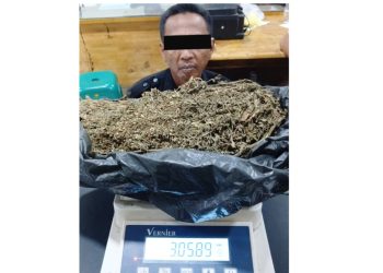 Security bengkel ternama di Medan pengedar ganja yang ditangkap polisi. (Foto Ist)