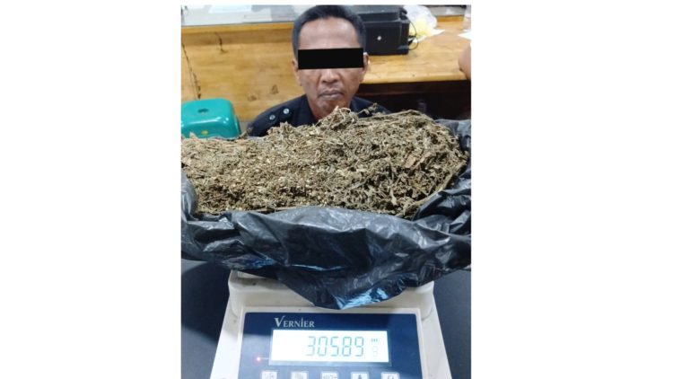 Security bengkel ternama di Medan pengedar ganja yang ditangkap polisi. (Foto Ist)