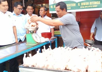 Ketua APPSI Sumut, Ihwan Ritonga didampingi Wakil Ketua, Suwarno meninjau pembukaan operasi pasar daging ayam di area basemen Pasar Petisah. (Foto Ist)