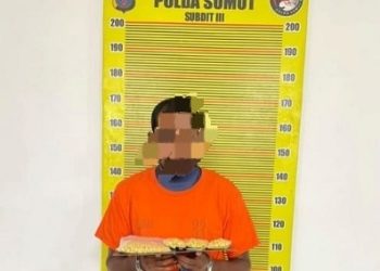 Kepling berinisial AR diringkus polisi. (Foto Ist)