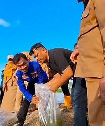 Sekretaris HNSI Kota Tanjungbalai Iskandar Lobo dan Wakil Ketua Ridho Damanik SH sedang Melepas Bibit Ikan